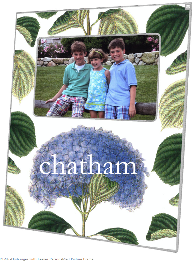 Chatham Hydrangea Frame