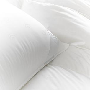 Scandia Vienna Pillows